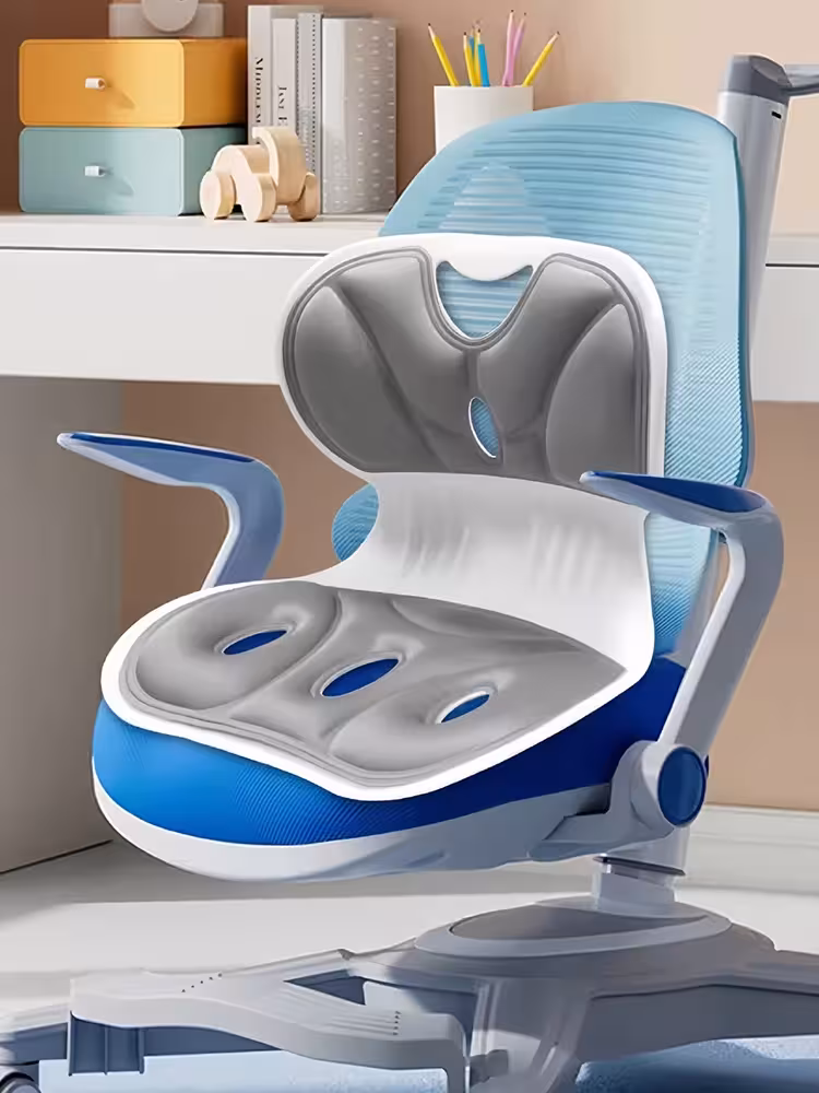 back support pillow