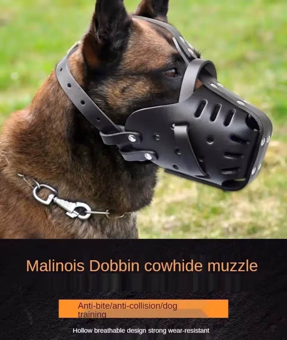 singe chien en cuir