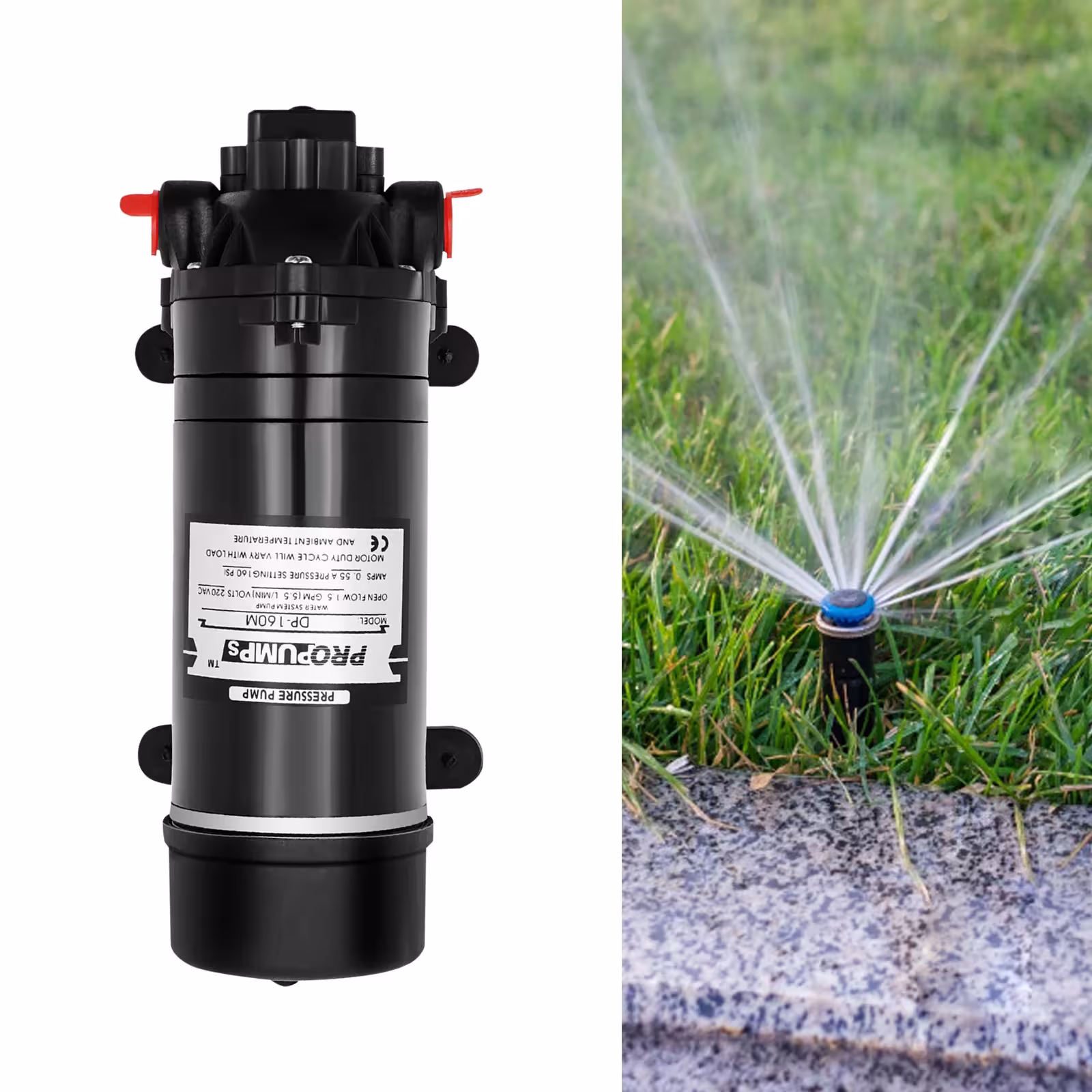 DP-160M 220V bomba automática de alta presión para transferencia de agua
