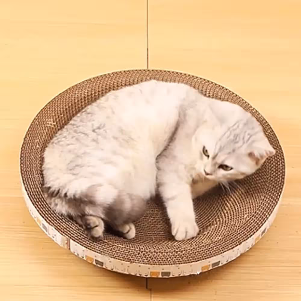 carton drapé pour chats