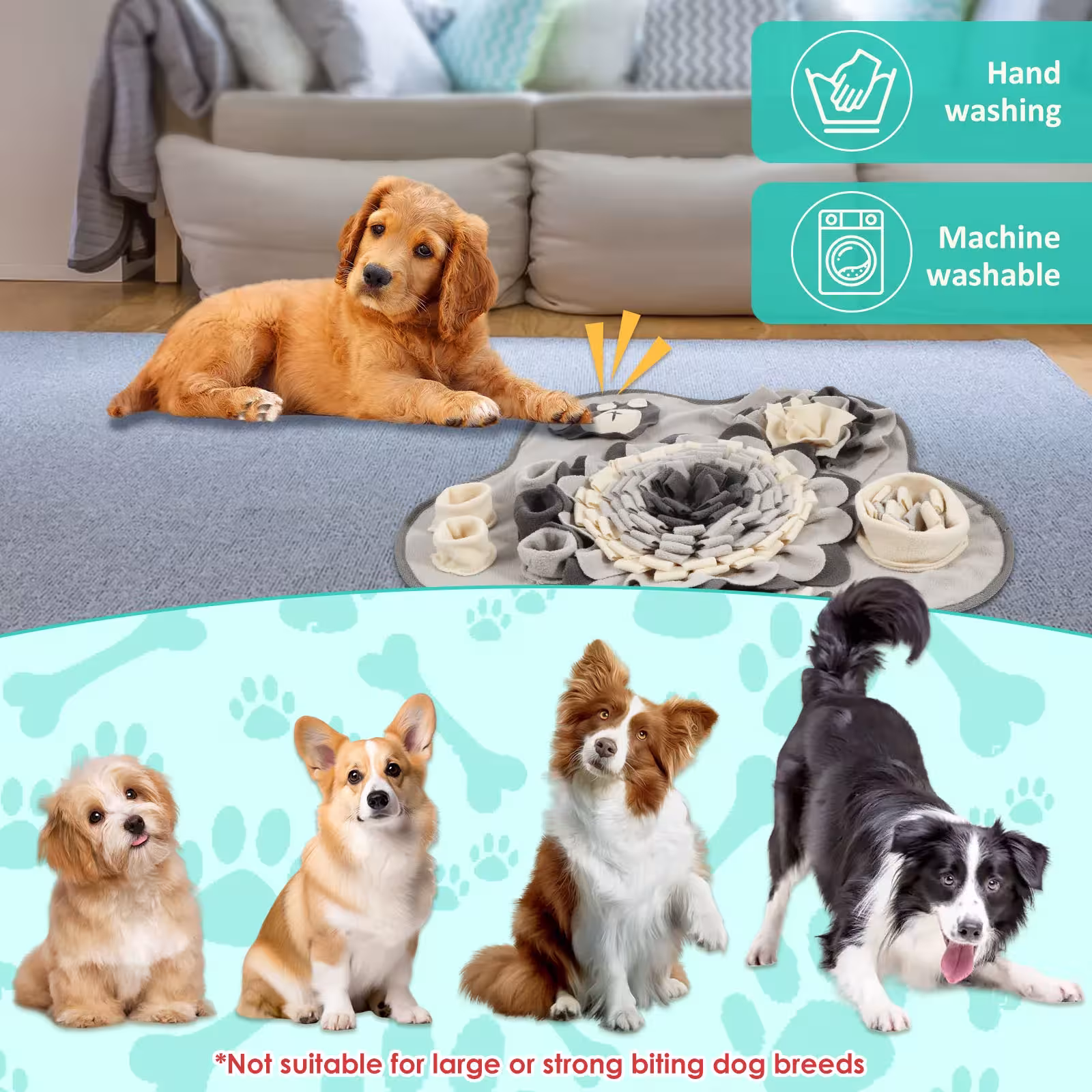 dog sniffing mat