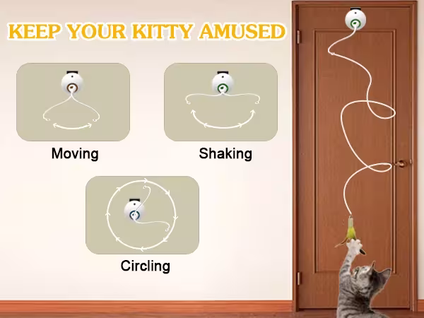 interactive cat toy
