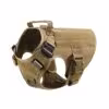 brown-harness