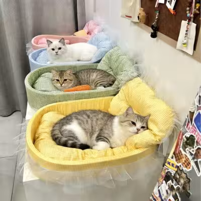 Joli lit canapé princesse pour chat avec bordure en dentelle, lavable et amovible, peluche douce ovale pour petits chiens/chats