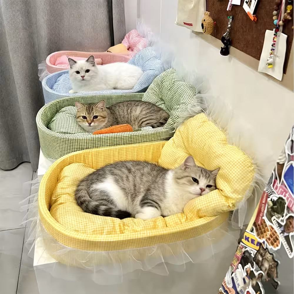 Graziosa cuccia a divanetto da principessa per gatti con bordo in pizzo, lavabile e rimovibile, in morbido peluche ovale per cani/gatti di piccola taglia