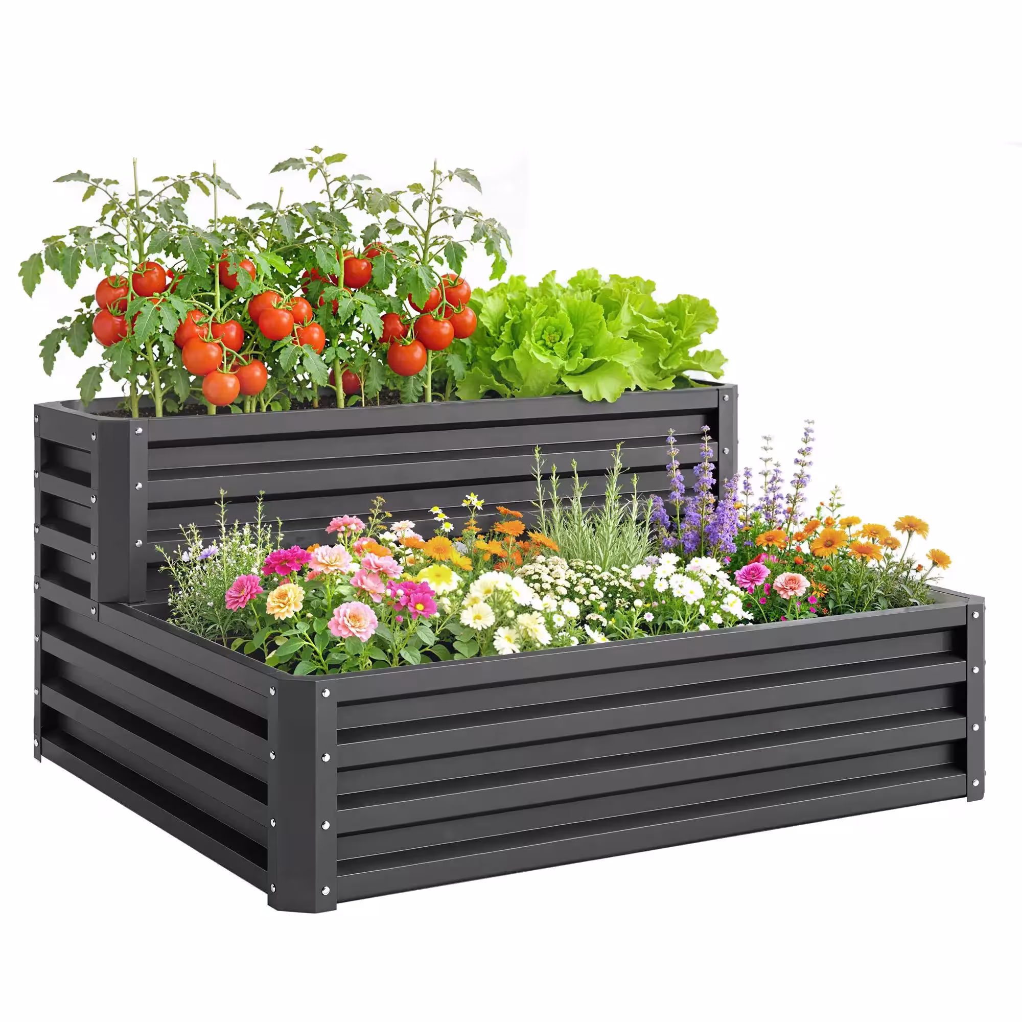 raised garden bed