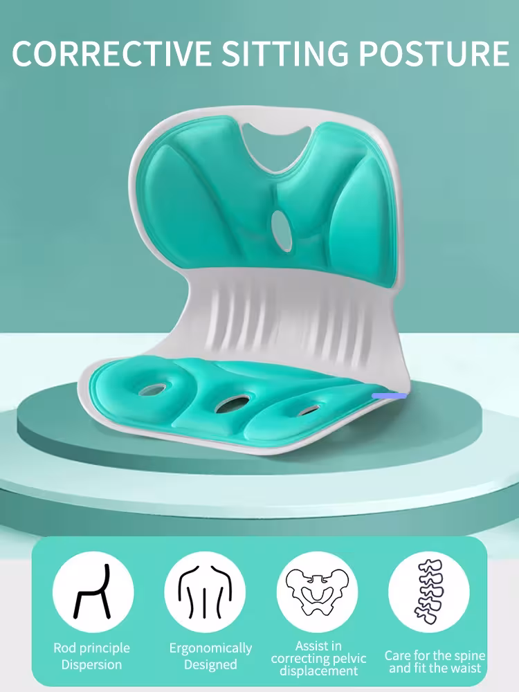 back support pillow