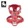 rouge coquelicot