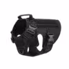 black-harness