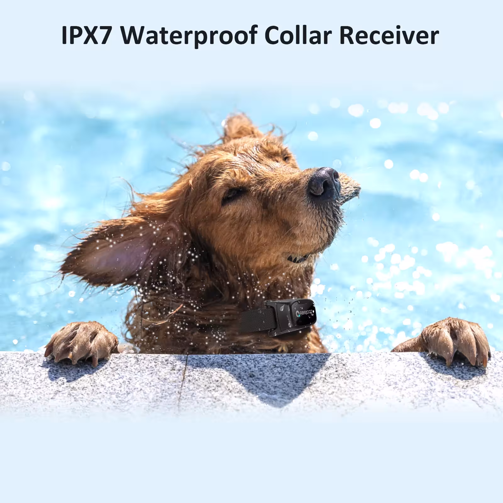collar para perros brewery