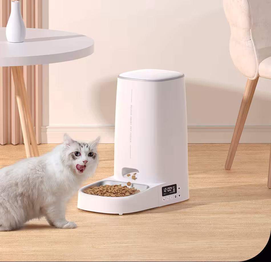 distributore automatico per cibo di gatto