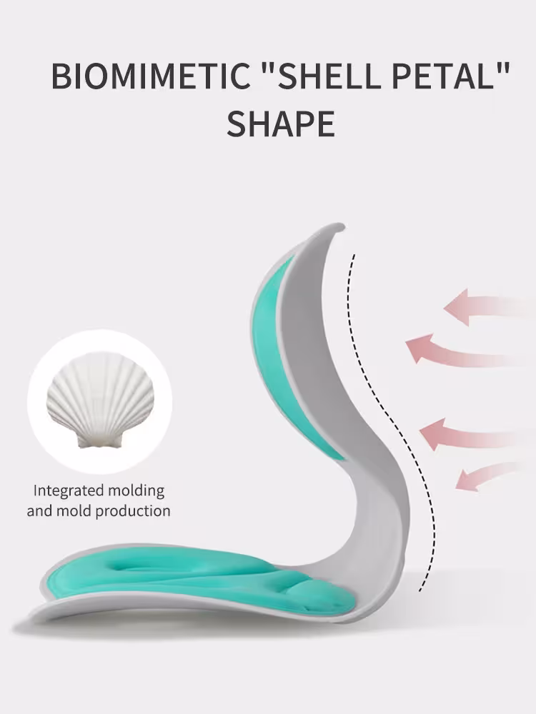 back support pillow
