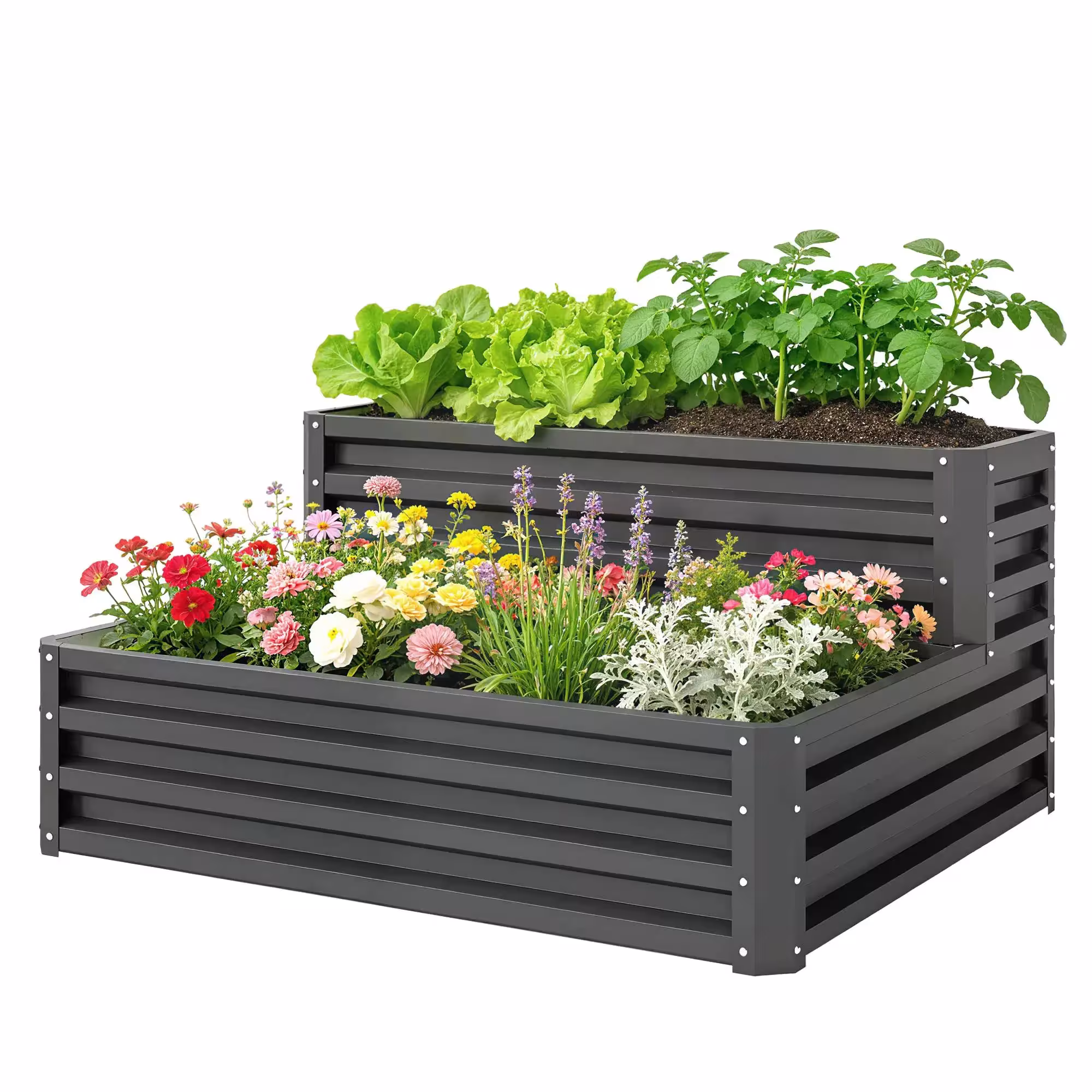 raised garden bed