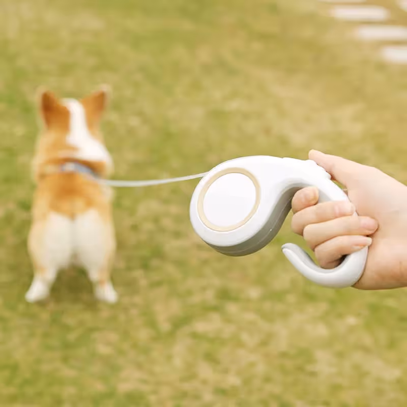 retractable leash for dogs