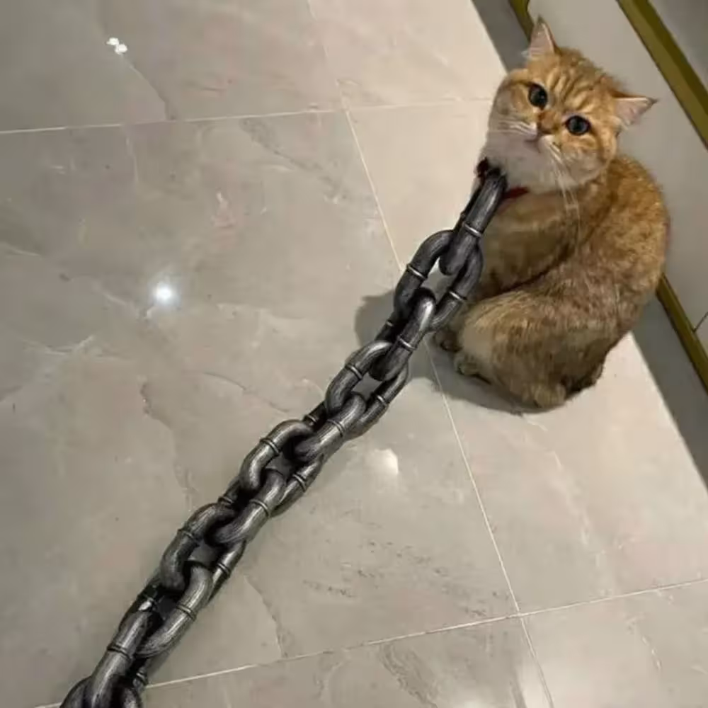dog traction chain