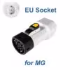 for mg