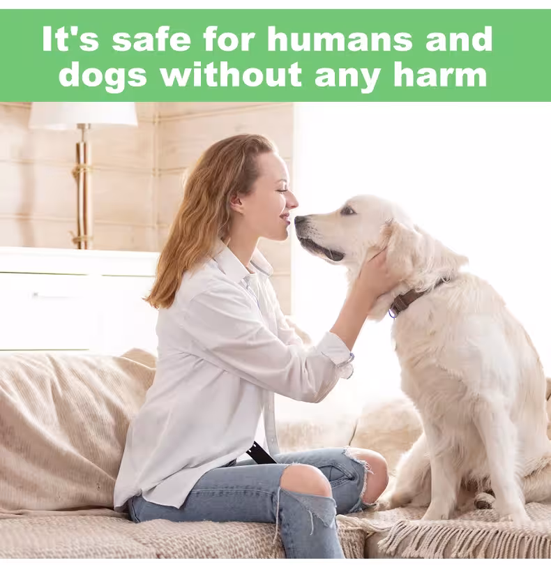 répulsif anti-aboiements de chiens