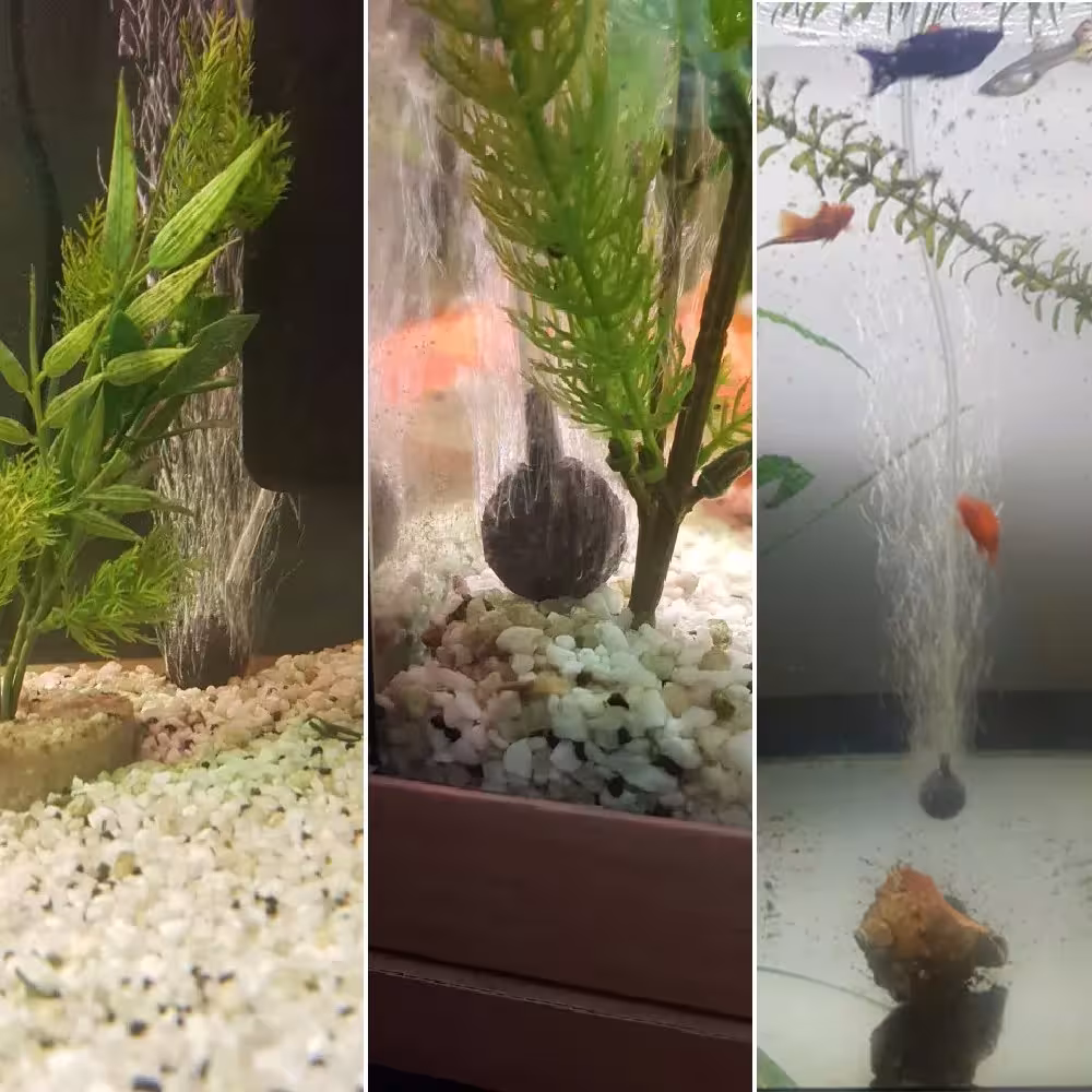 bomba de aire de acuario 220V