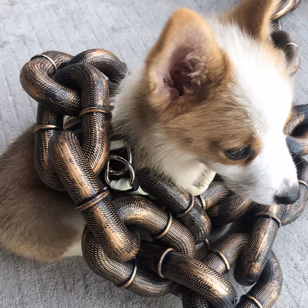 dog traction chain