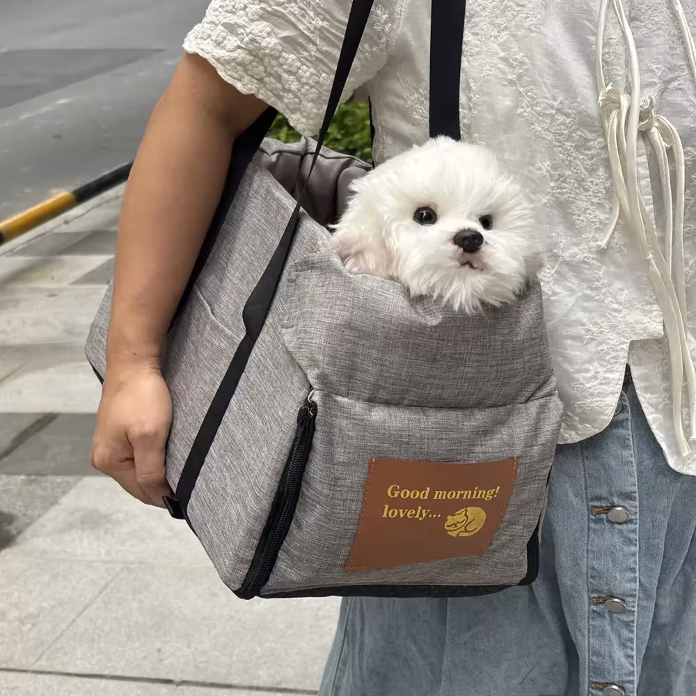 siège auto pour chien