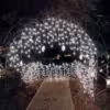 blanc froid-chaud