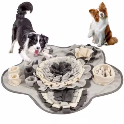 Chien Blow Bowl Jouets interactifs Carton naturel diététique