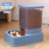 bluefeed