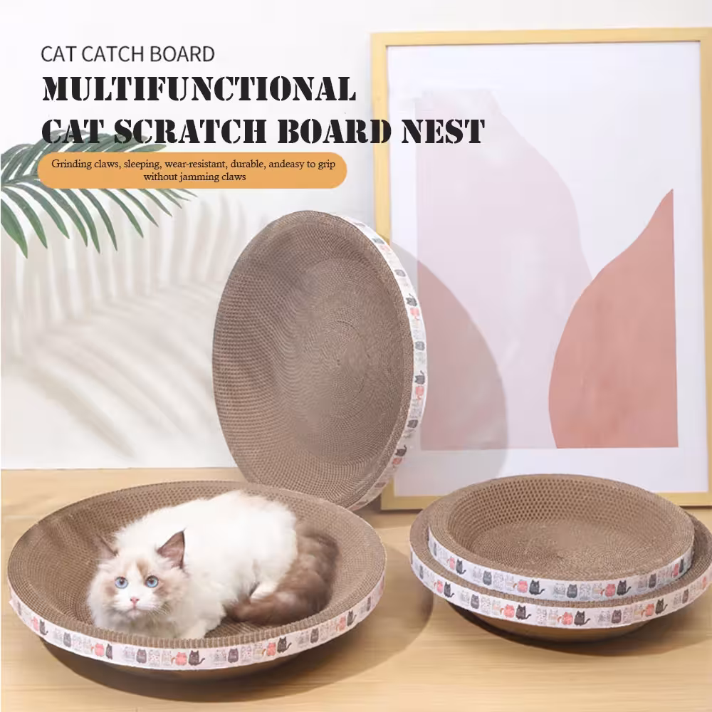carton drapé pour chats