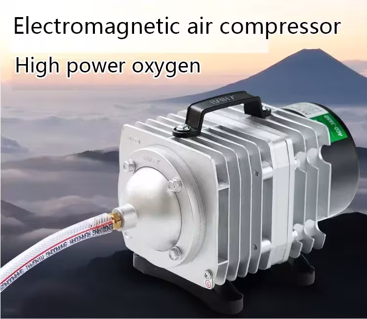 compresseur d'air pour poissons