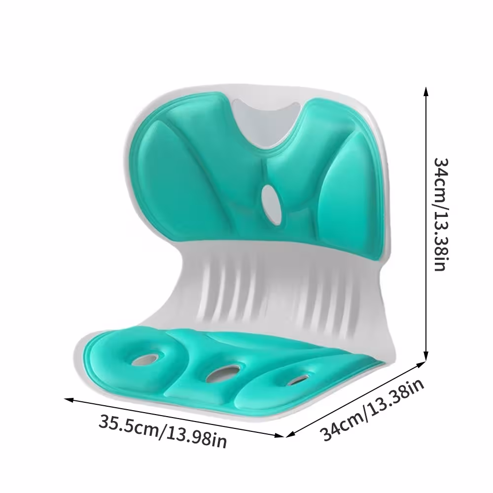 back support pillow