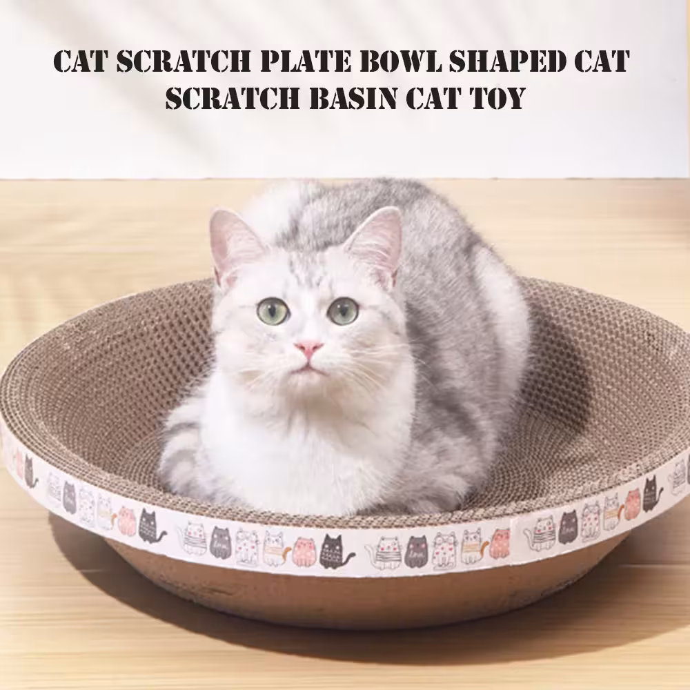 carton drapé pour chats