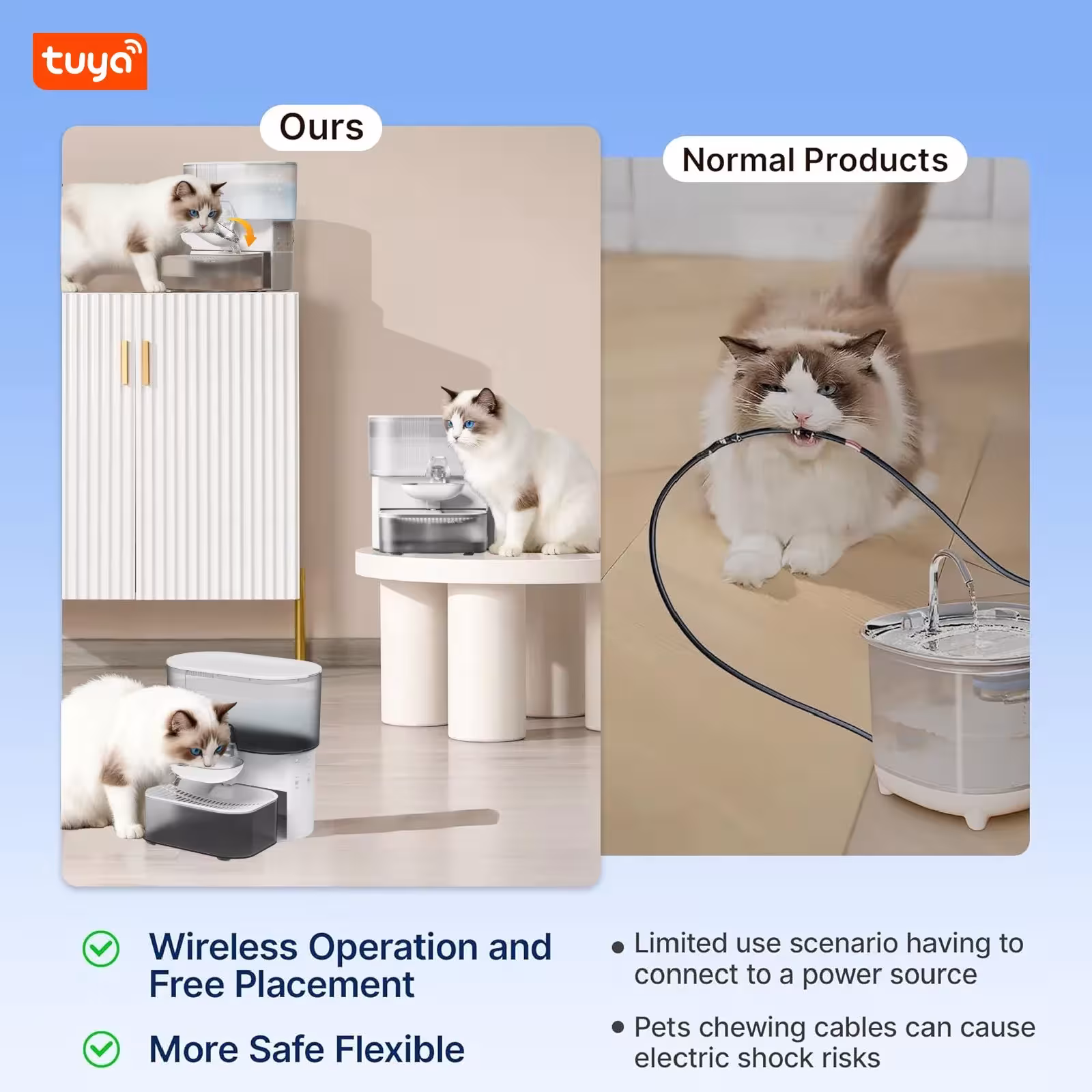 cat water fountain