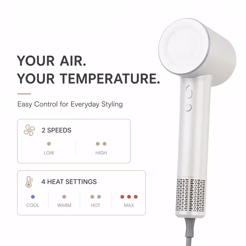 Ionic hair dryer