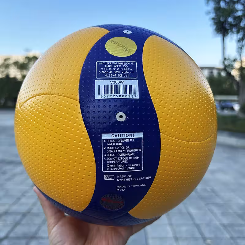 palla da volleyball