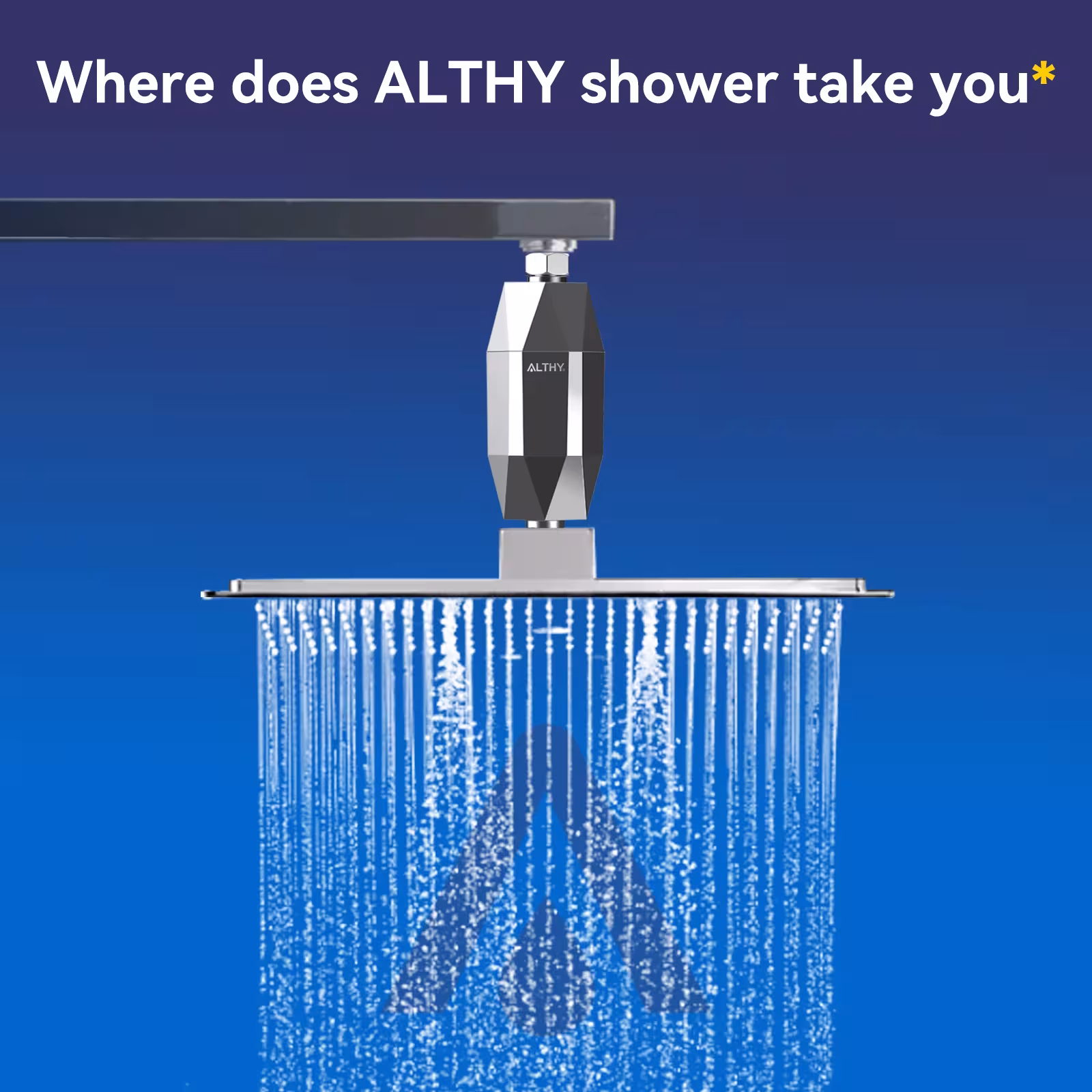 shower filter with vitamin C