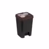 ed