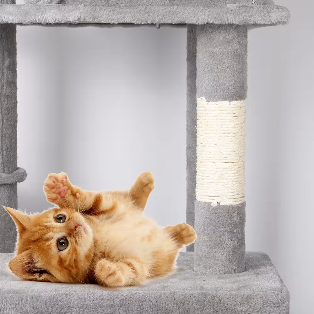 griffoir pour chat en tour