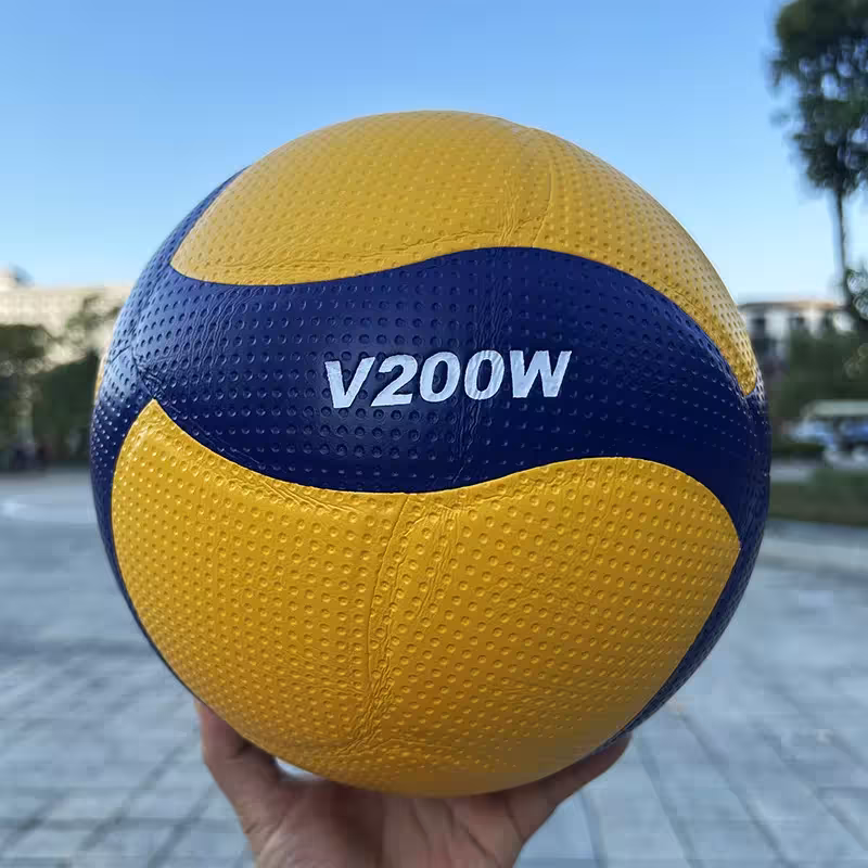 palla da volleyball
