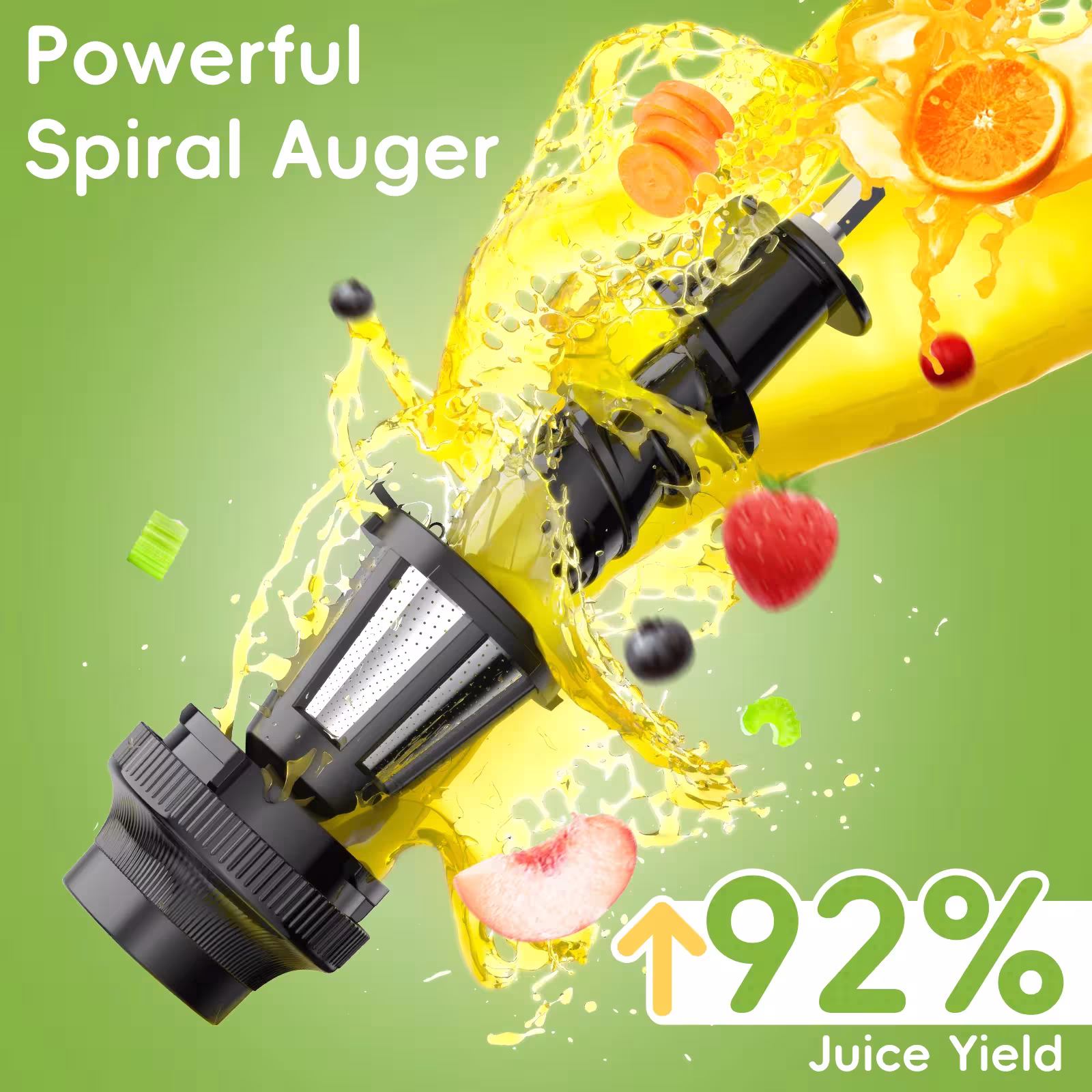 Slow Juicer