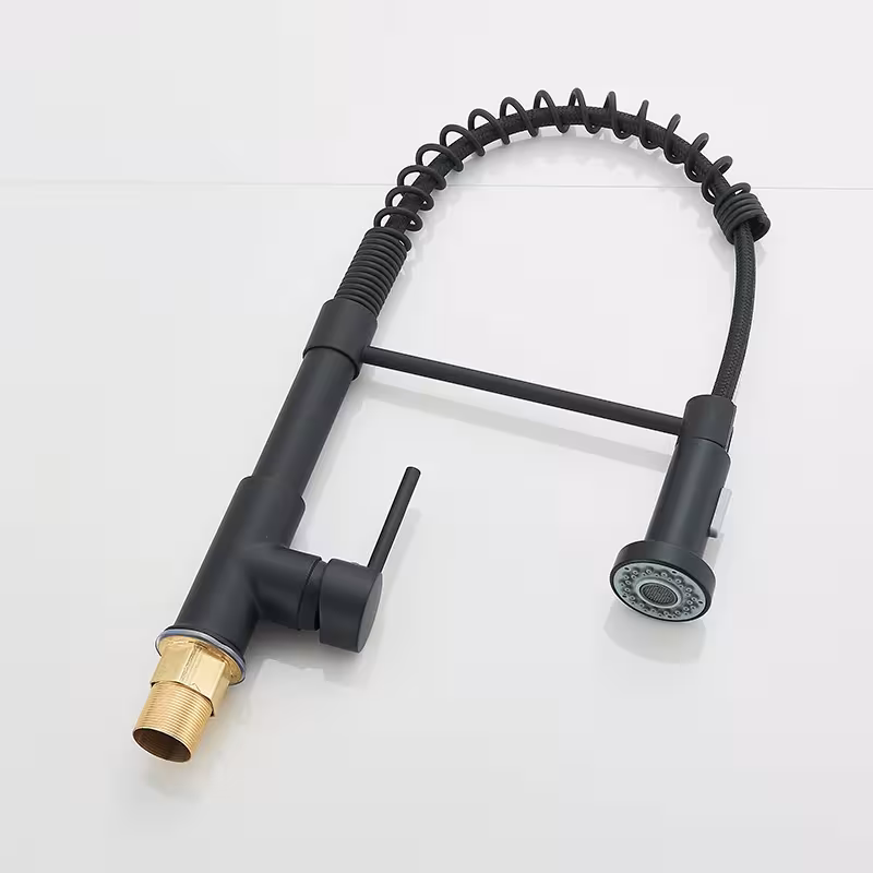 robinet de cuisine extractible