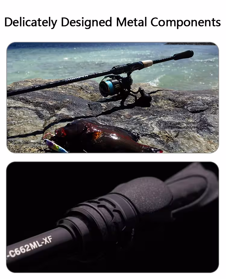 Canne à pêche de voyage