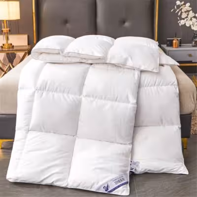 Winter Imitation Goose Down Quilt Five-Star Hotel Duvet Super Soft Fluffy Full Single Autumn Spring Comforter Quilted Blanket 1