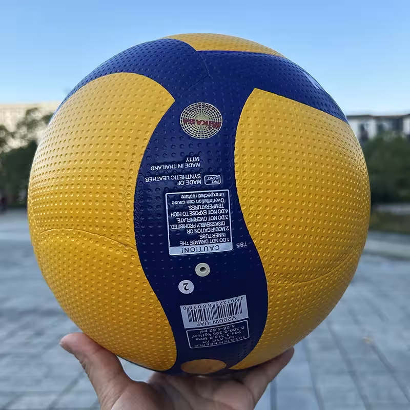 palla da volleyball