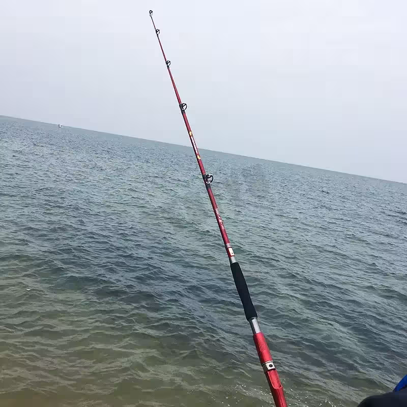 canne à pêche portable