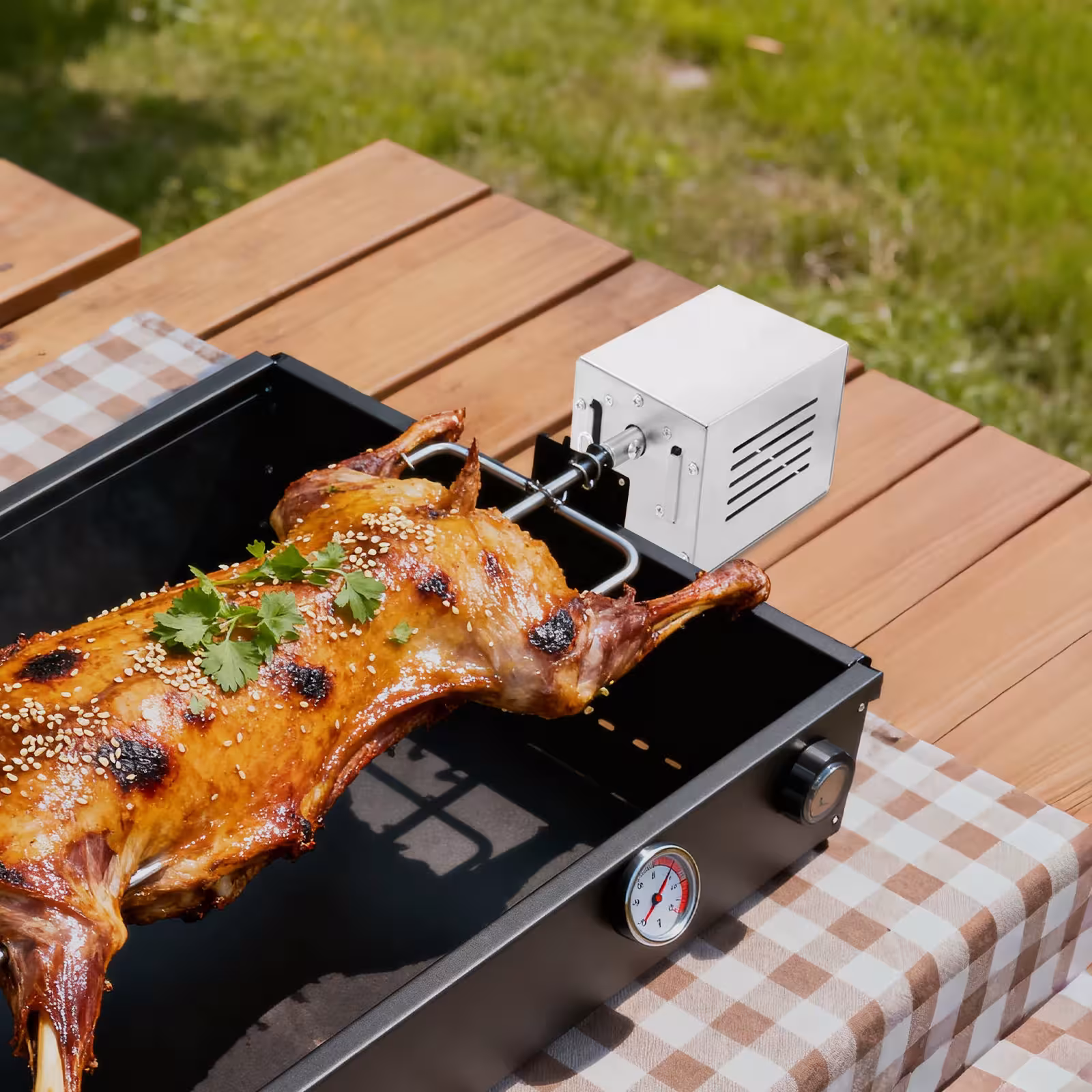 elektrischer Grillmotor