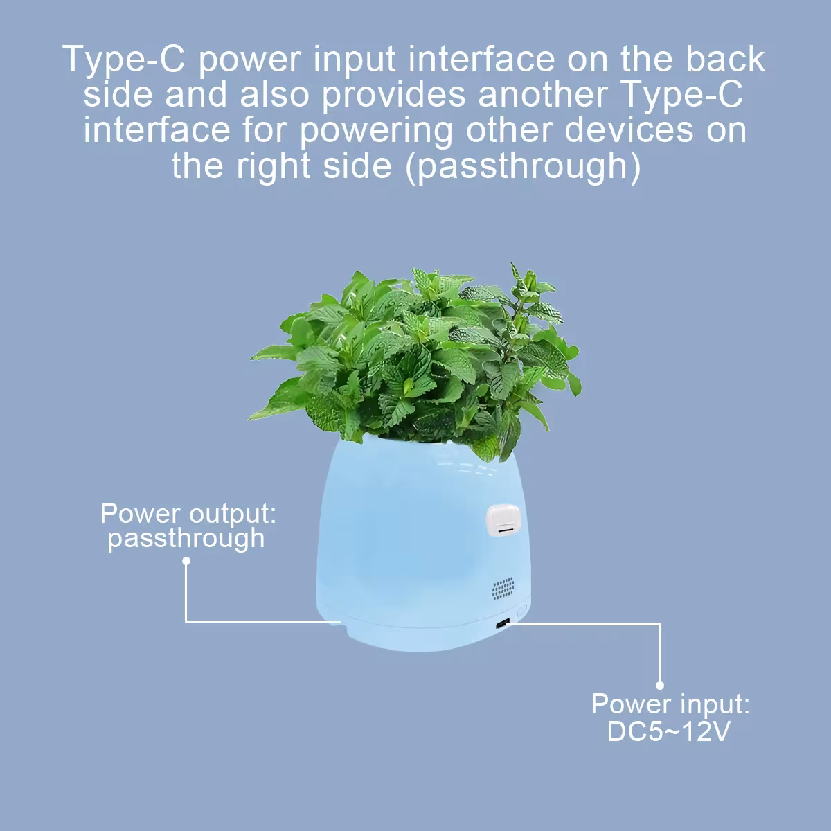 AI flower vase