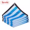 blue-white