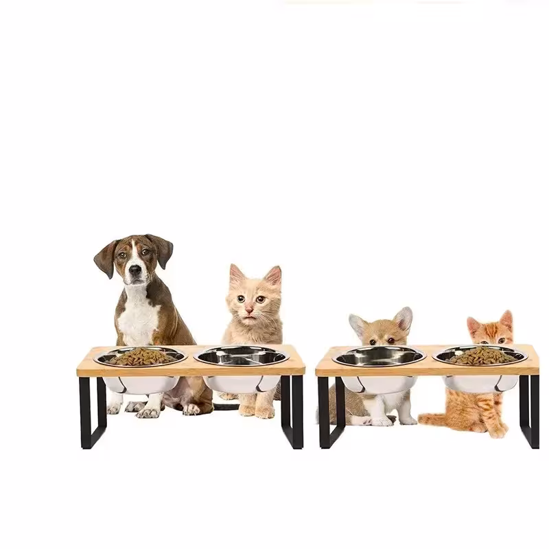 gamelle surélevée pour chat
