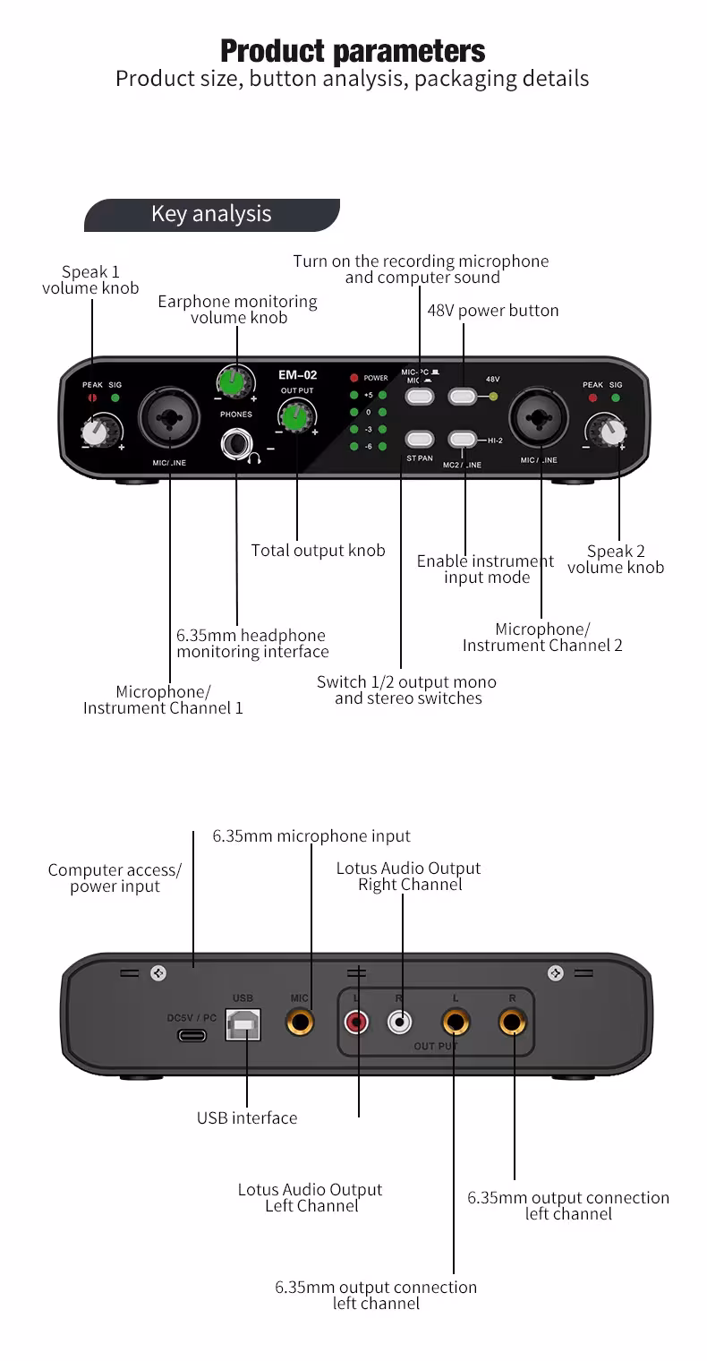 Audio interface with microphone
