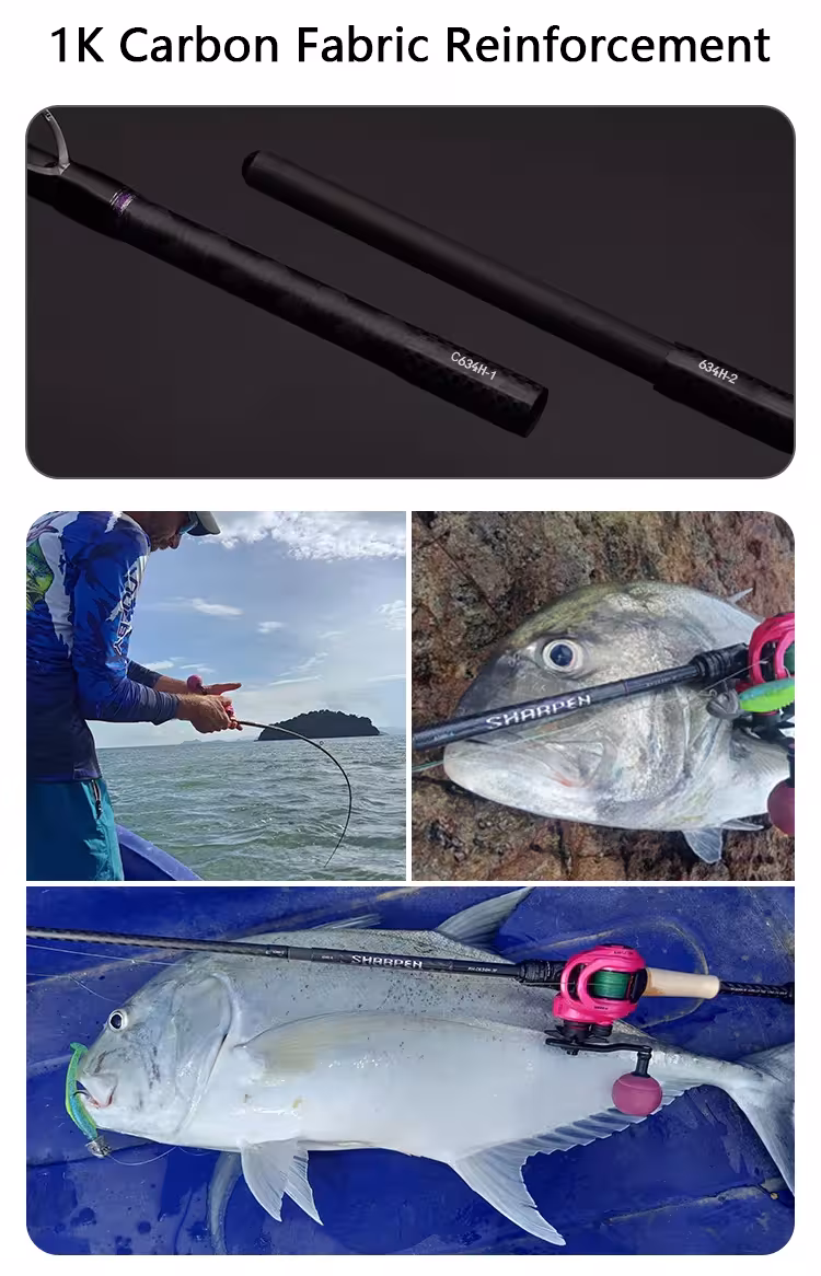 Canne à pêche de voyage
